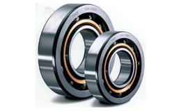 Electric motor bearings