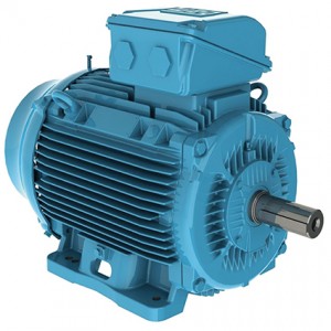 WEG electric motor